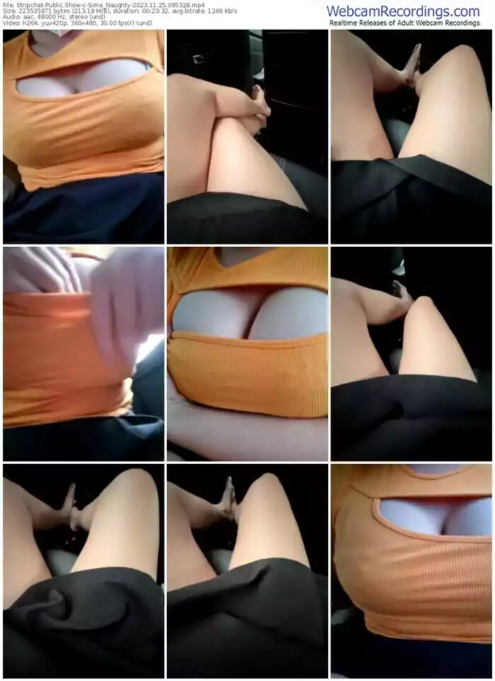 stripchat-sime_naughty-11-25-2023-09-53-28