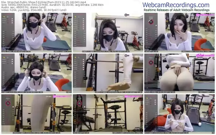 stripchat-610heizhen-11-25-2023-18-10-43