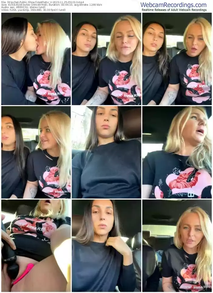 stripchat-aesthetic_v-11-25-2023-05-10-13