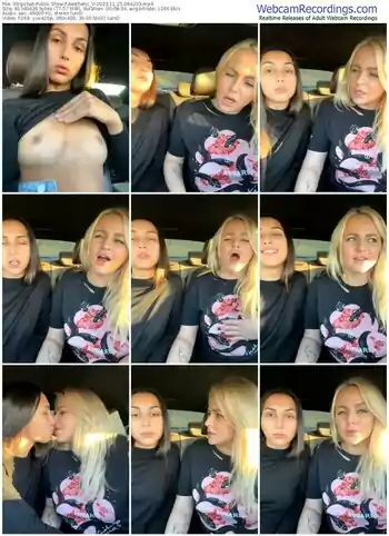 stripchat-aesthetic_v-11-25-2023-06-42-33