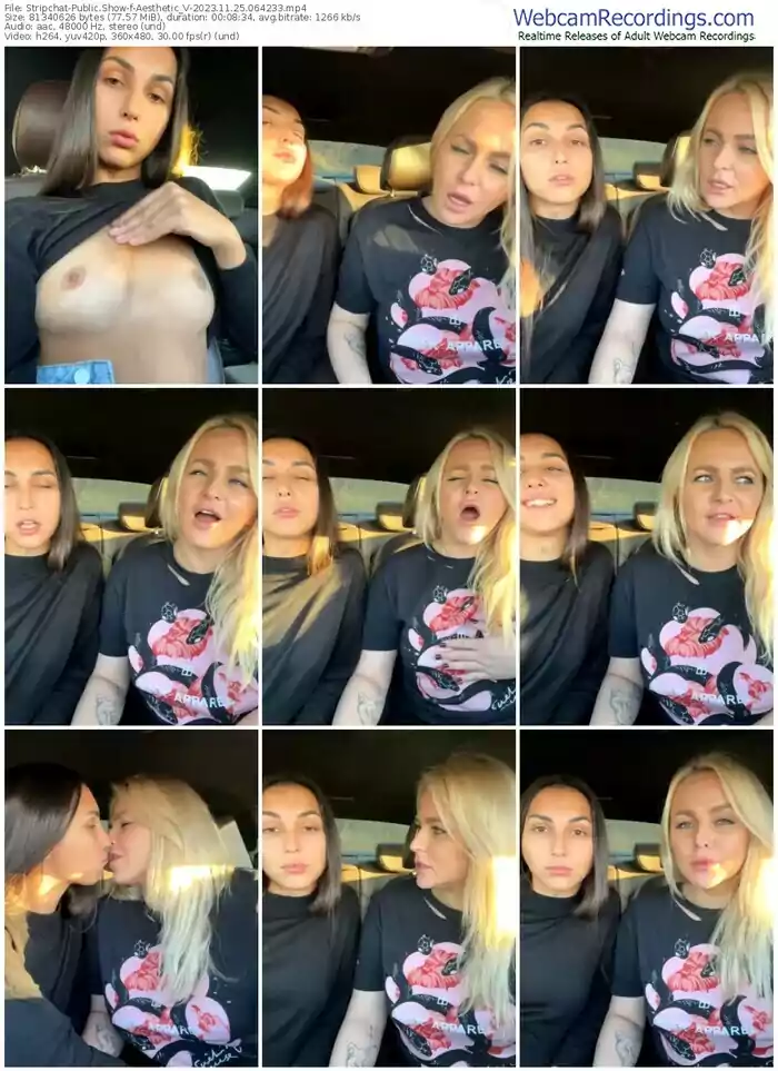 stripchat-aesthetic_v-11-25-2023-06-42-33