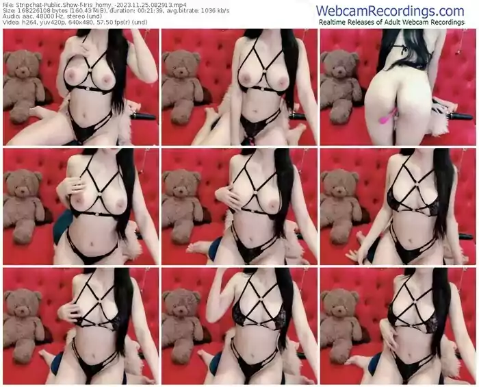 stripchat-iris_horny_-11-25-2023-08-29-13