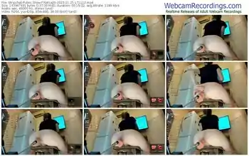 stripchat-natca20-11-25-2023-17-11-12