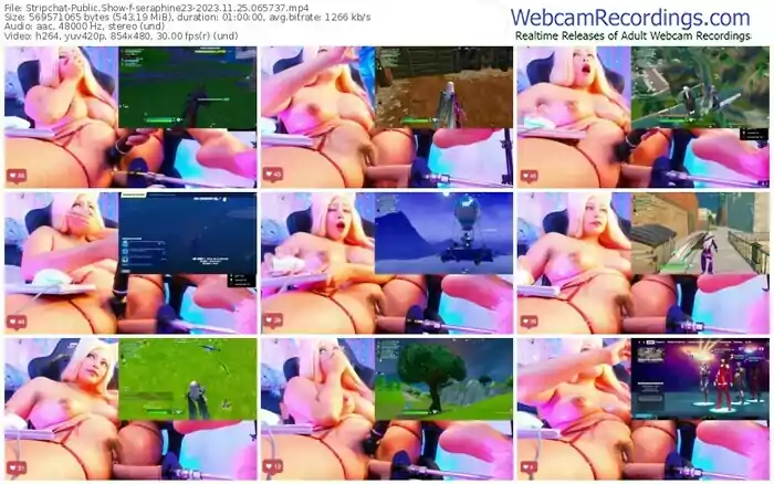 stripchat-seraphine23-11-25-2023-06-57-37