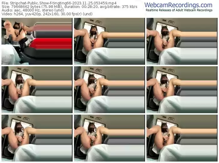 stripchat-tingting66-11-25-2023-05-34-59