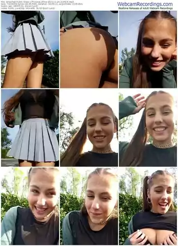 stripchat-princess_afina-11-26-2023-21-45-18