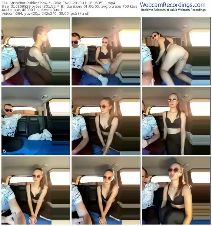 stripchat-_fake_taxi_-11-26-2023-05-35-13