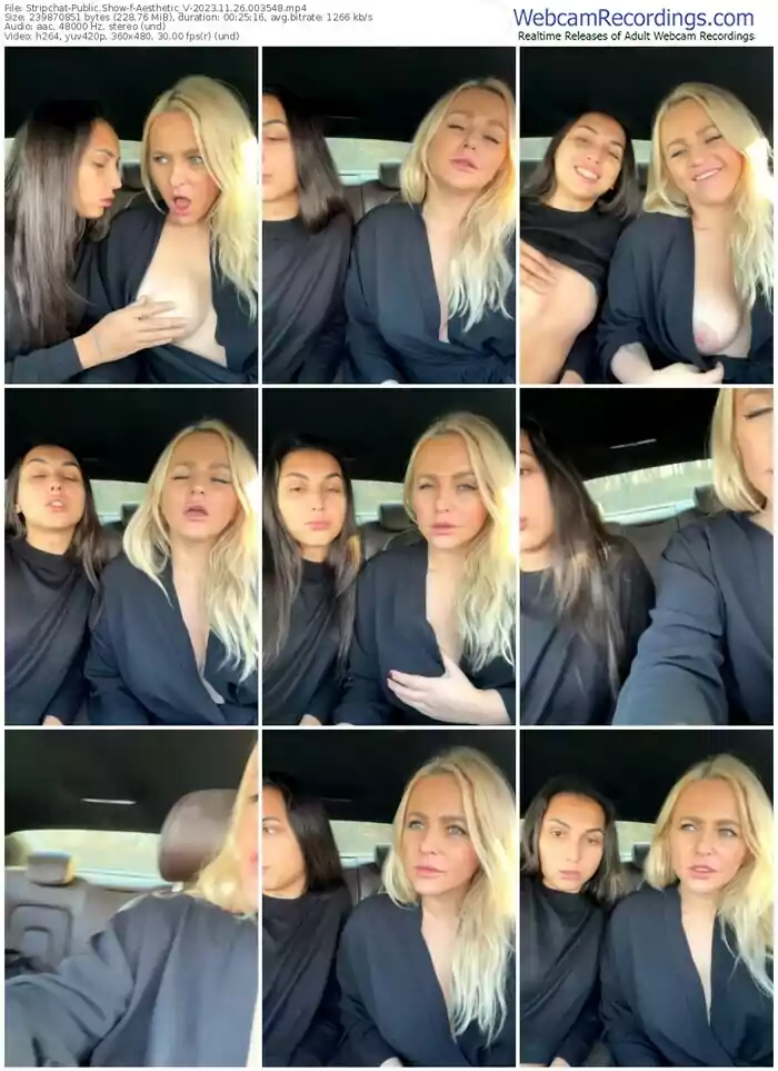 stripchat-aesthetic_v-11-26-2023-00-35-48