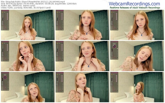 stripchat-rosewellsk-11-26-2023-04-04-40