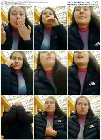 stripchat-celem--11-27-2023-21-04-01