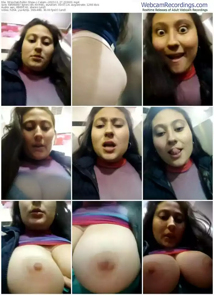 stripchat-celem--11-27-2023-23-36-01