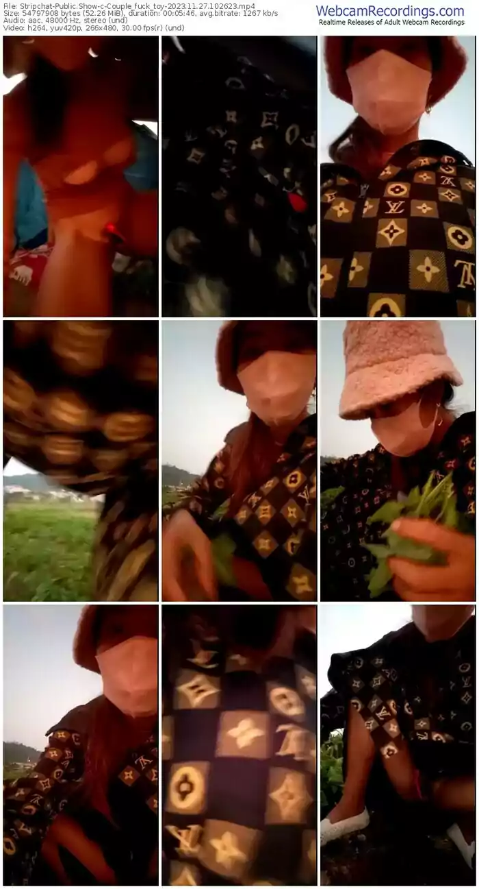 stripchat-couple_fuck_toy-11-27-2023-10-26-23