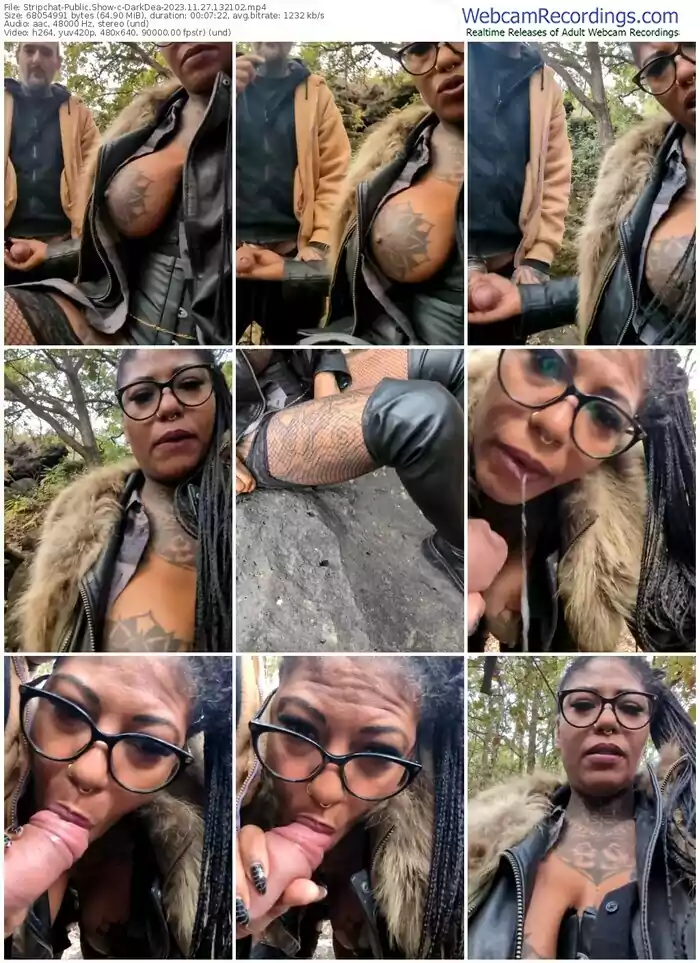 stripchat-darkdea-11-27-2023-13-21-02