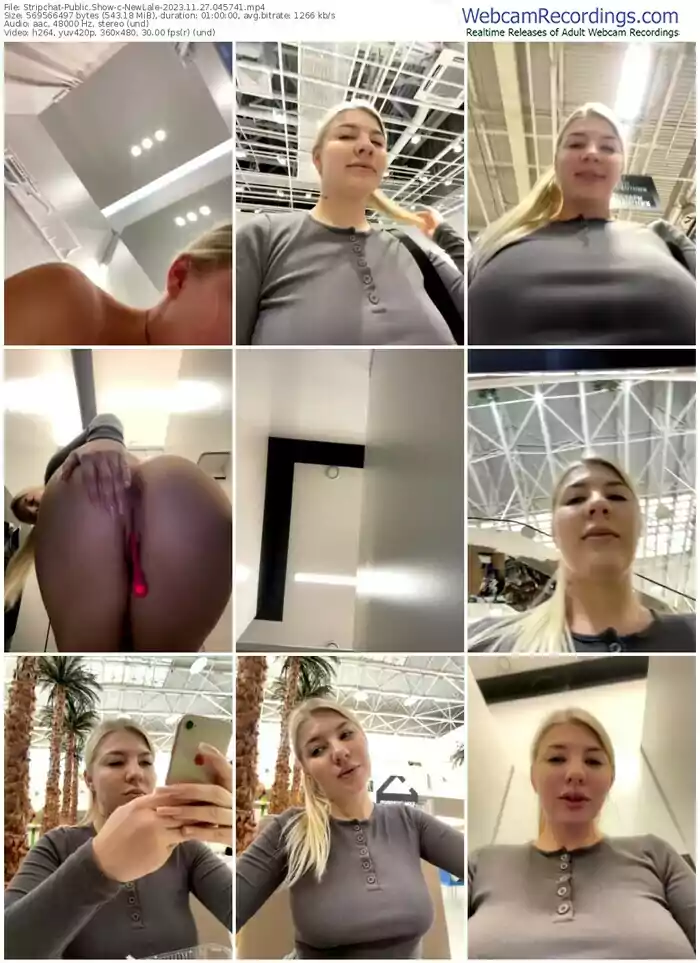 stripchat-newlale-11-27-2023-04-57-41