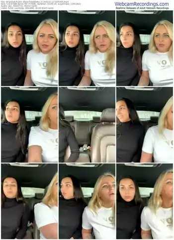 stripchat-aesthetic_v-11-27-2023-04-54-05