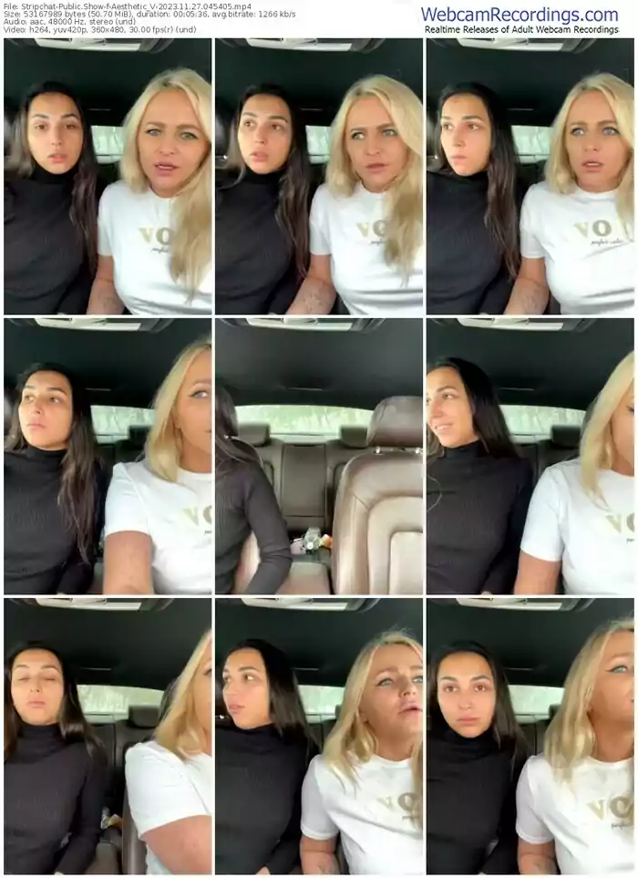 stripchat-aesthetic_v-11-27-2023-04-54-05