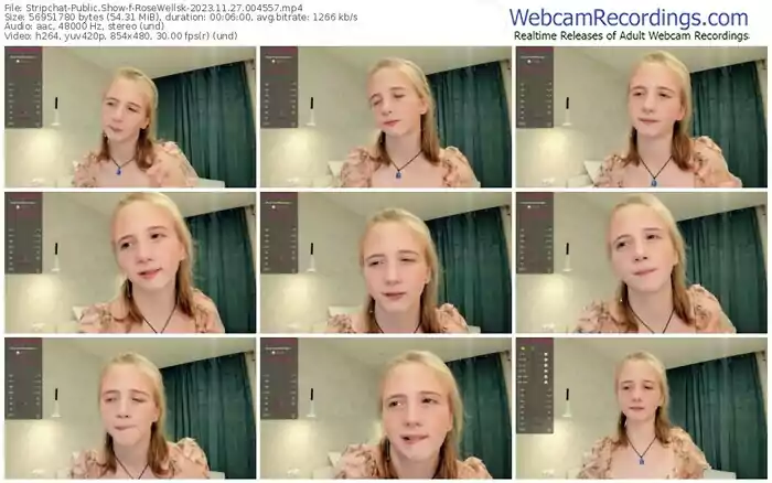 stripchat-rosewellsk-11-27-2023-00-45-57