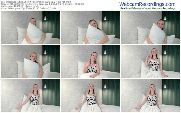 stripchat-rosewellsk-11-27-2023-22-17-15