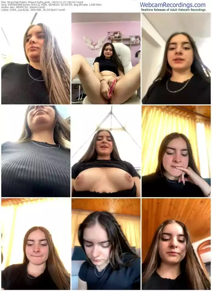 stripchat-sofia_pink_-11-27-2023-18-15-27