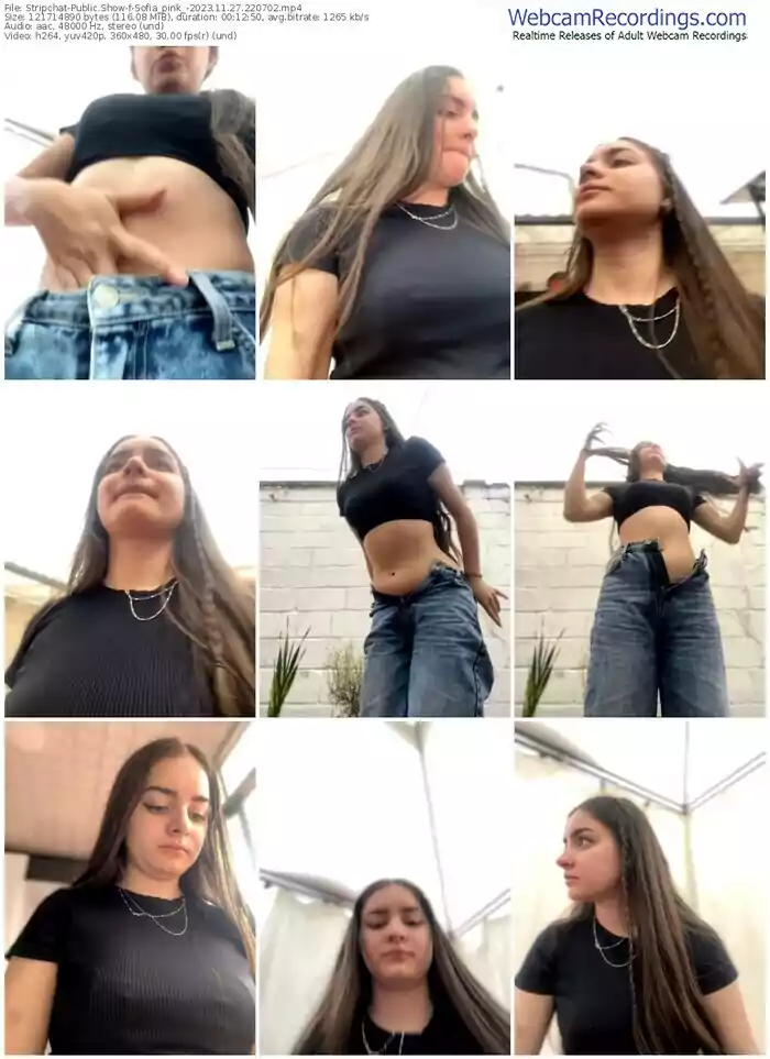 stripchat-sofia_pink_-11-27-2023-22-07-02