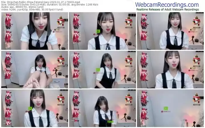stripchat-wend-sexy-11-27-2023-17-39-03