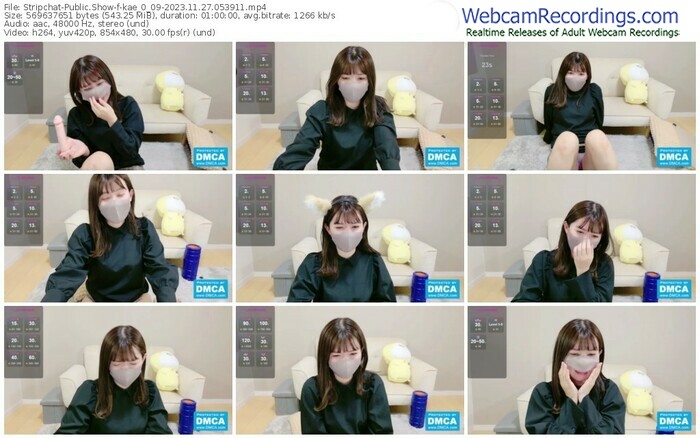 stripchat-kae_0_09-11-27-2023-05-39-11