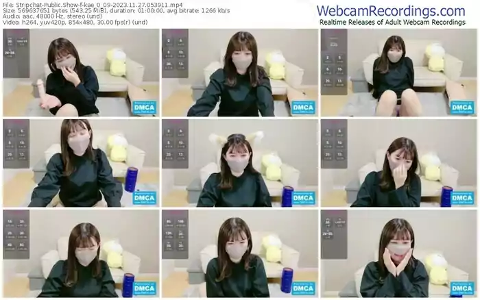 stripchat-kae_0_09-11-27-2023-05-39-11