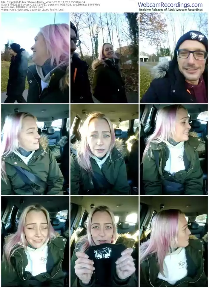 stripchat-micky_mouth-11-28-2023-13-50-08