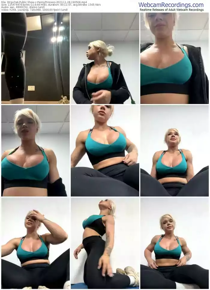 stripchat-pennyprincess-11-28-2023-19-05-08