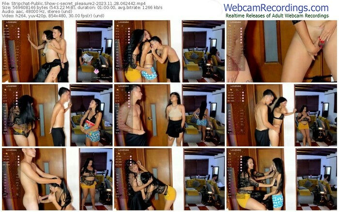 stripchat-secret_pleasure2-11-28-2023-06-24-42