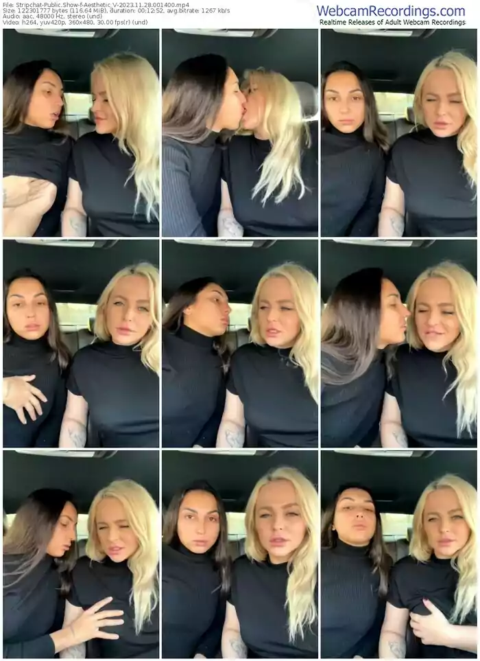 stripchat-aesthetic_v-11-28-2023-00-14-00