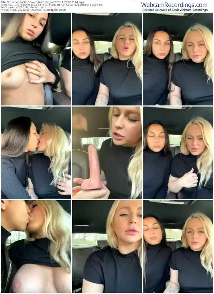 stripchat-aesthetic_v-11-28-2023-00-31-44