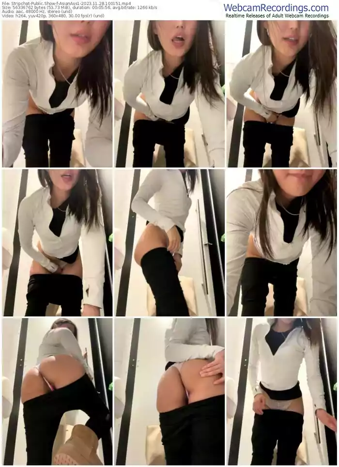 stripchat-asianass1-11-28-2023-10-01-51