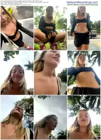 stripchat-legally_blonde-11-28-2023-09-14-56