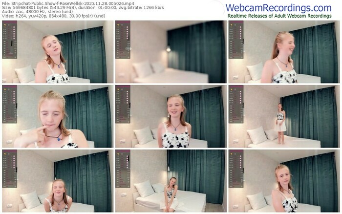 stripchat-rosewellsk-11-28-2023-00-50-26