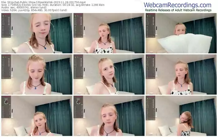 stripchat-rosewellsk-11-28-2023-03-17-56