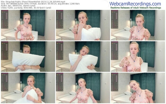stripchat-rosewellsk-11-28-2023-20-54-46
