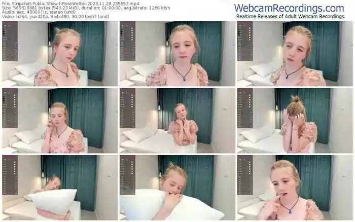 stripchat-rosewellsk-11-28-2023-23-55-53