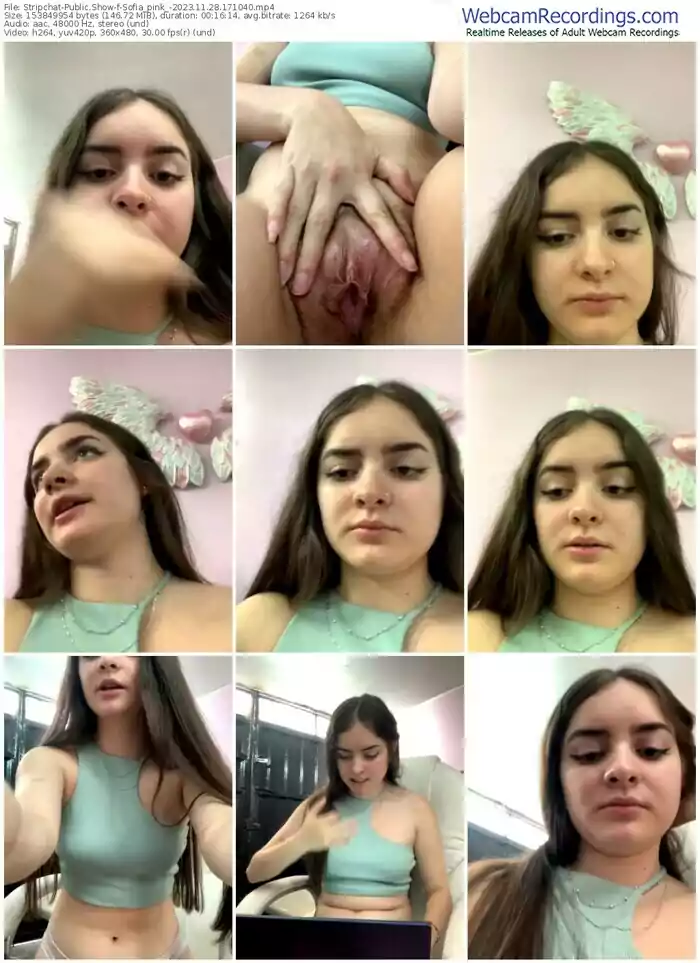 stripchat-sofia_pink_-11-28-2023-17-10-40