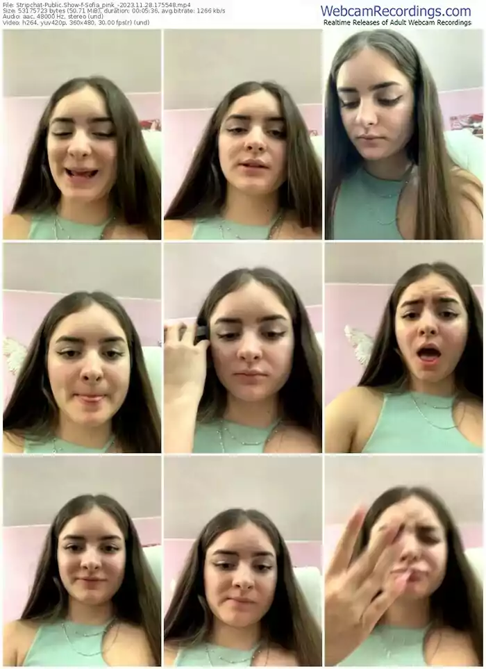 stripchat-sofia_pink_-11-28-2023-17-55-48