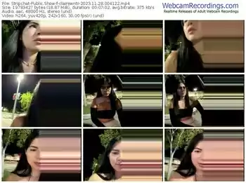 stripchat-clairewntr-11-28-2023-00-41-22