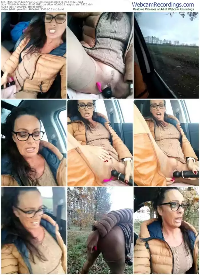 stripchat-misses-cougar-11-29-2023-13-50-41