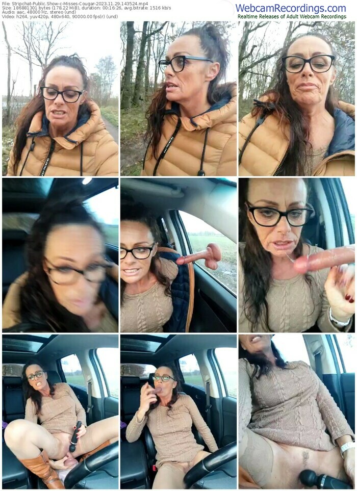 stripchat-misses-cougar-11-29-2023-14-35-24