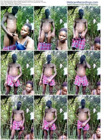 stripchat-rediant_two256-11-29-2023-12-41-02