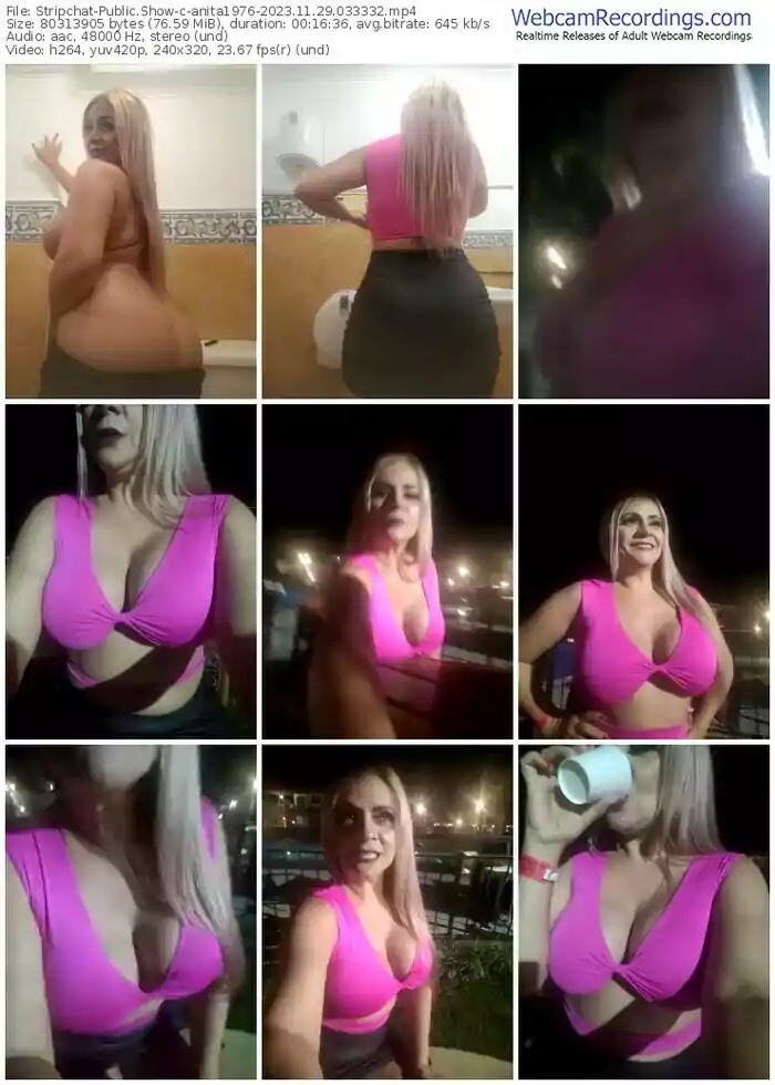 stripchat-anita1976-11-29-2023-03-33-32