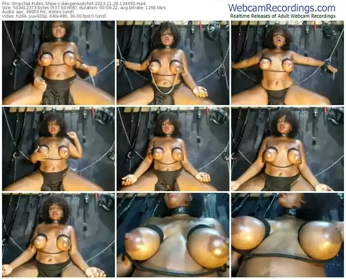 stripchat-dangerouslyhot-11-29-2023-12-44-50