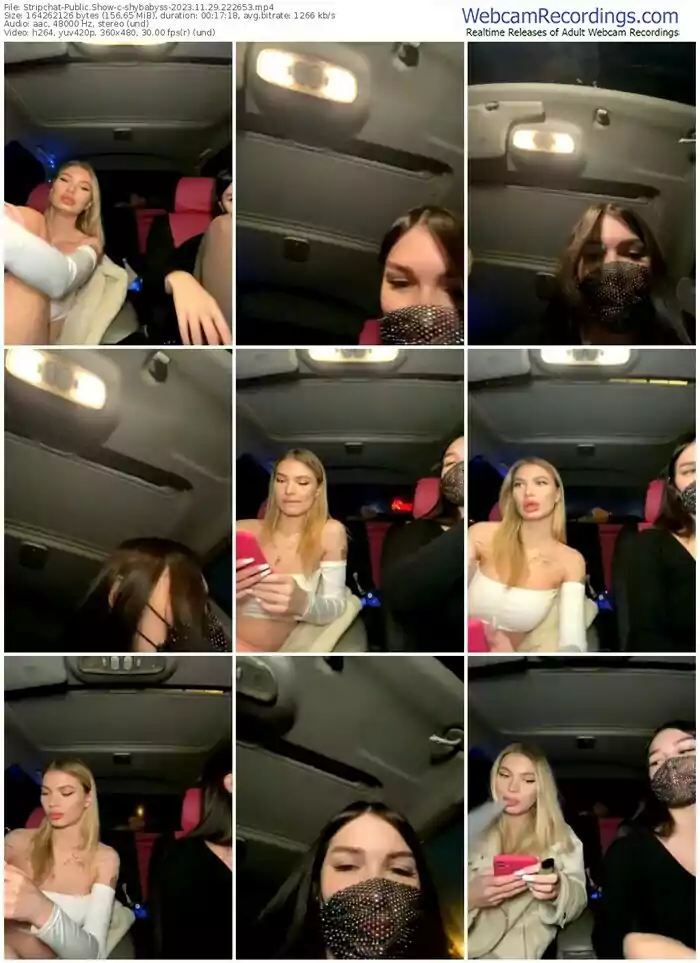 stripchat-shybabyss-11-29-2023-22-26-53