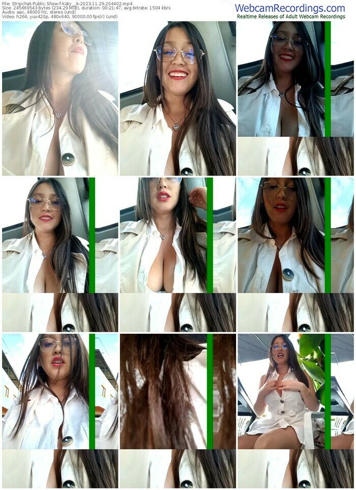 stripchat-katy__a-11-29-2023-20-44-02