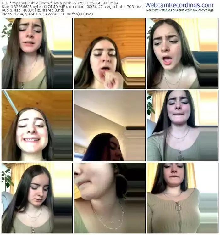 stripchat-sofia_pink_-11-29-2023-14-39-37