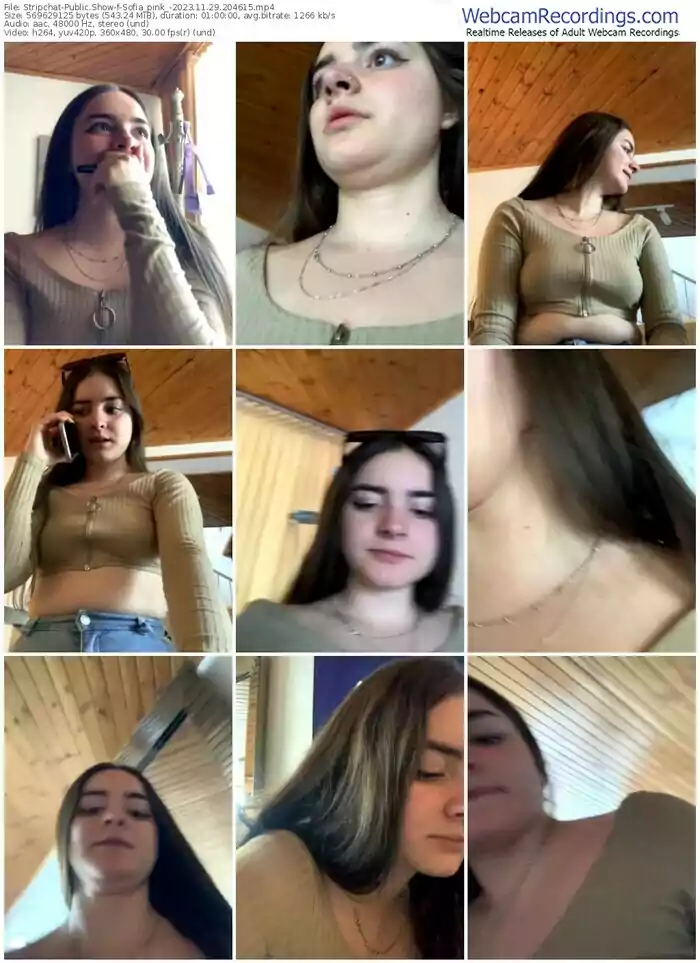 stripchat-sofia_pink_-11-29-2023-20-46-15
